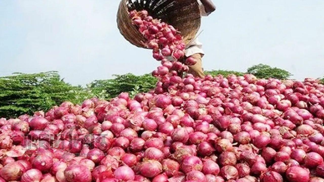 পিঁয়াজ আমদানি আরও সম্প্রসারিত বাজারে স্বস্তি