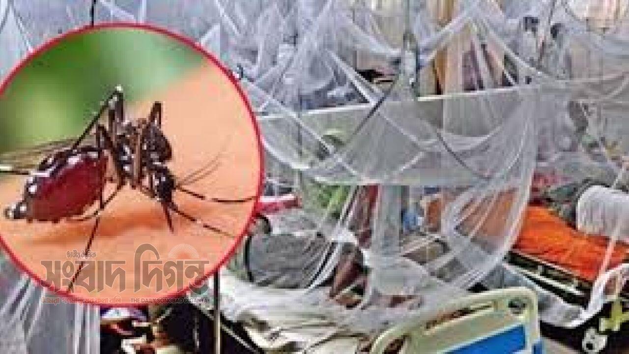 ডেঙ্গু আক্রান্ত হয়ে হাসপাতালে ভর্তি আর ১৯০