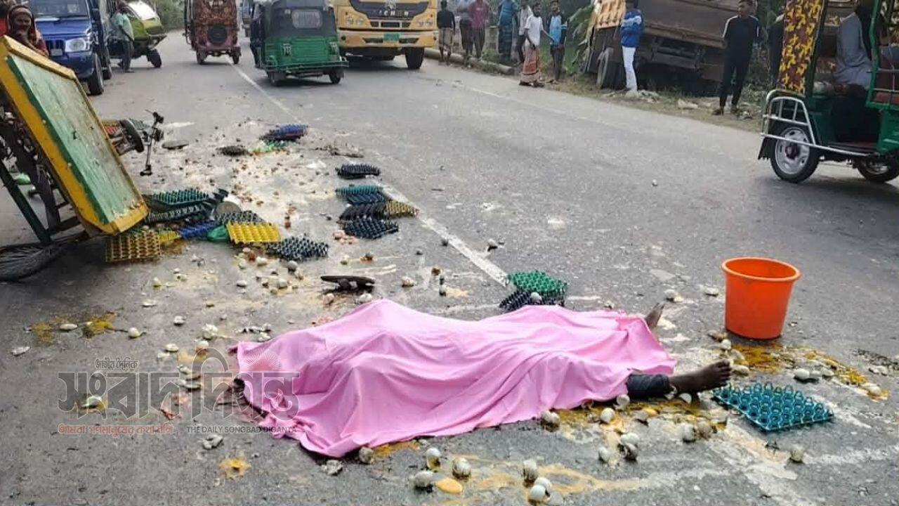 নরসিংদীতে ড্রামট্রাকের চাপায় ডিমবাহী ভ্যানচালক নিহত