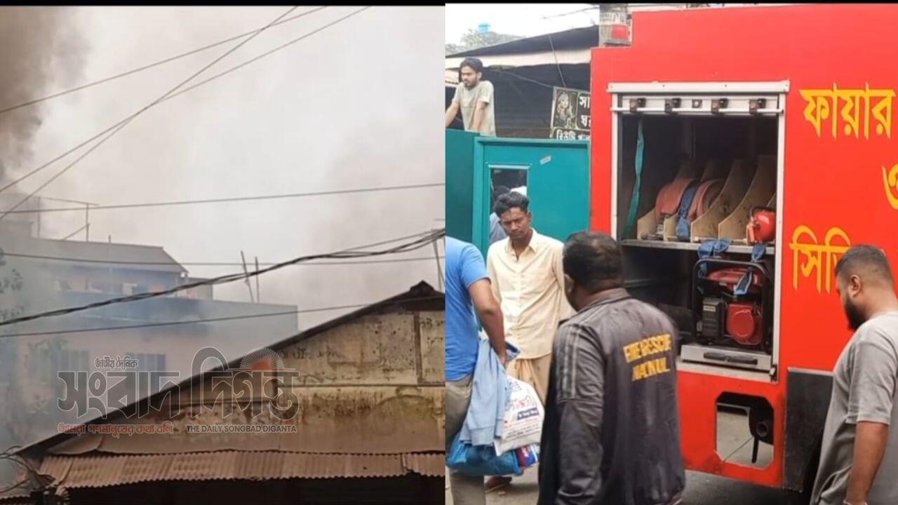 সোনারগাঁয়ের মোগরাপাড়ায় টিনশেড মার্কেটে আগুন
