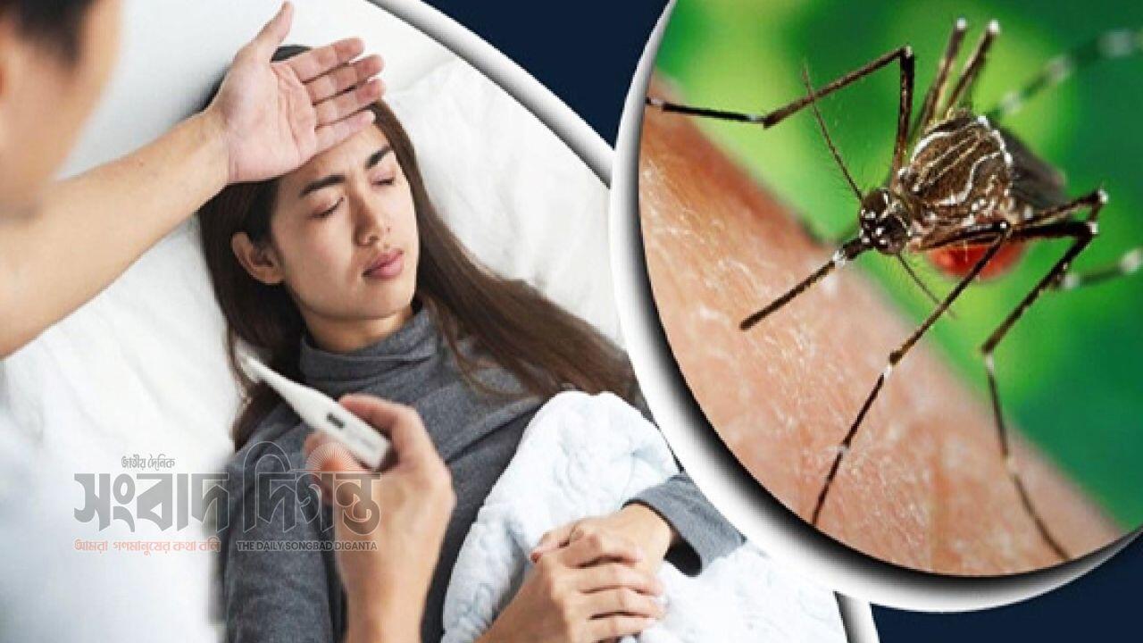 চিকুনগুনিয়া কী, কিভাবে ছড়ায় ও কীভাবে বাঁচবেন