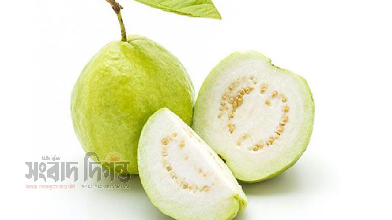 পেয়ারা পুষ্টিগুণ ও স্বাস্থ্যসেবায় ভূমিকা
