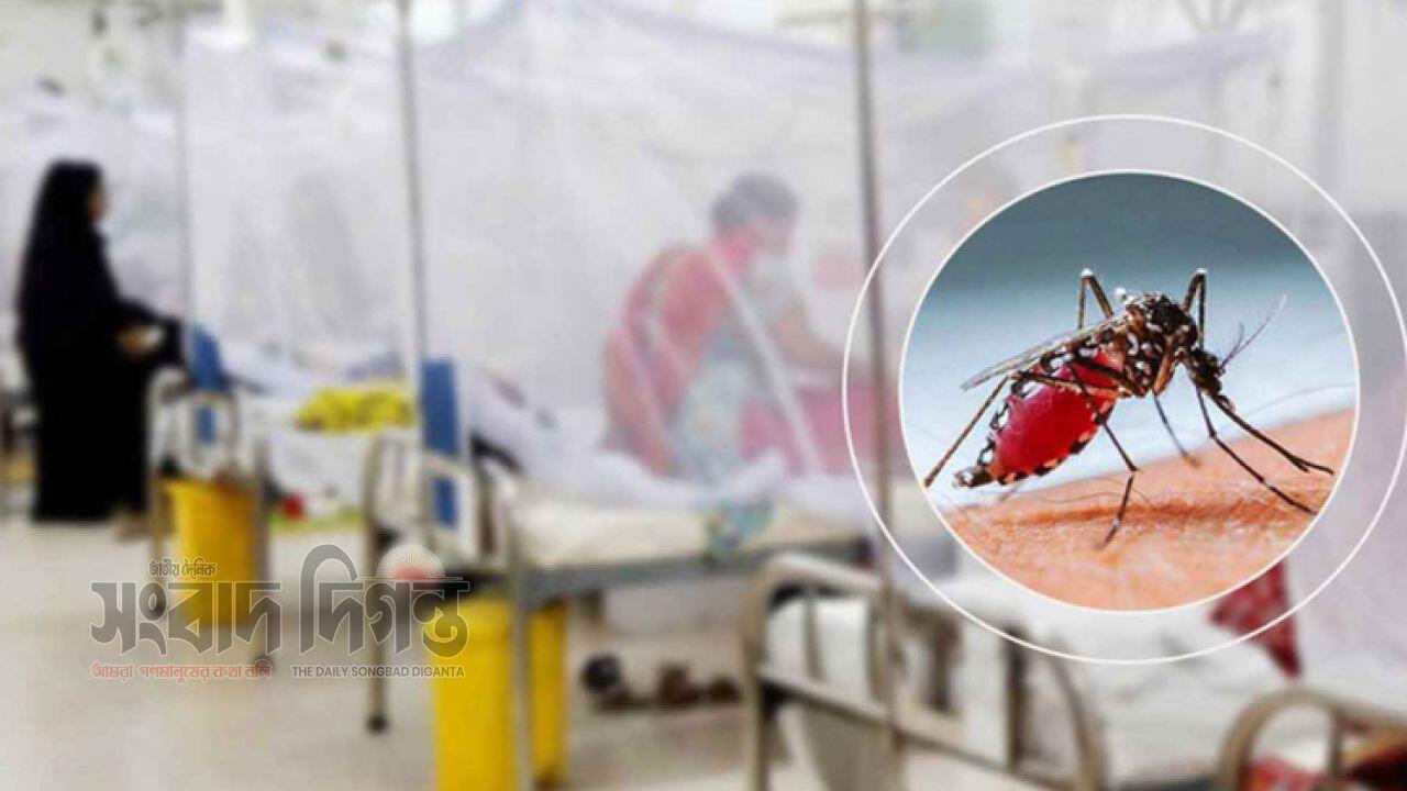 ডেঙ্গুতে আক্রান্ত হয়ে হাসপাতালে ভর্তি ১২৬ 