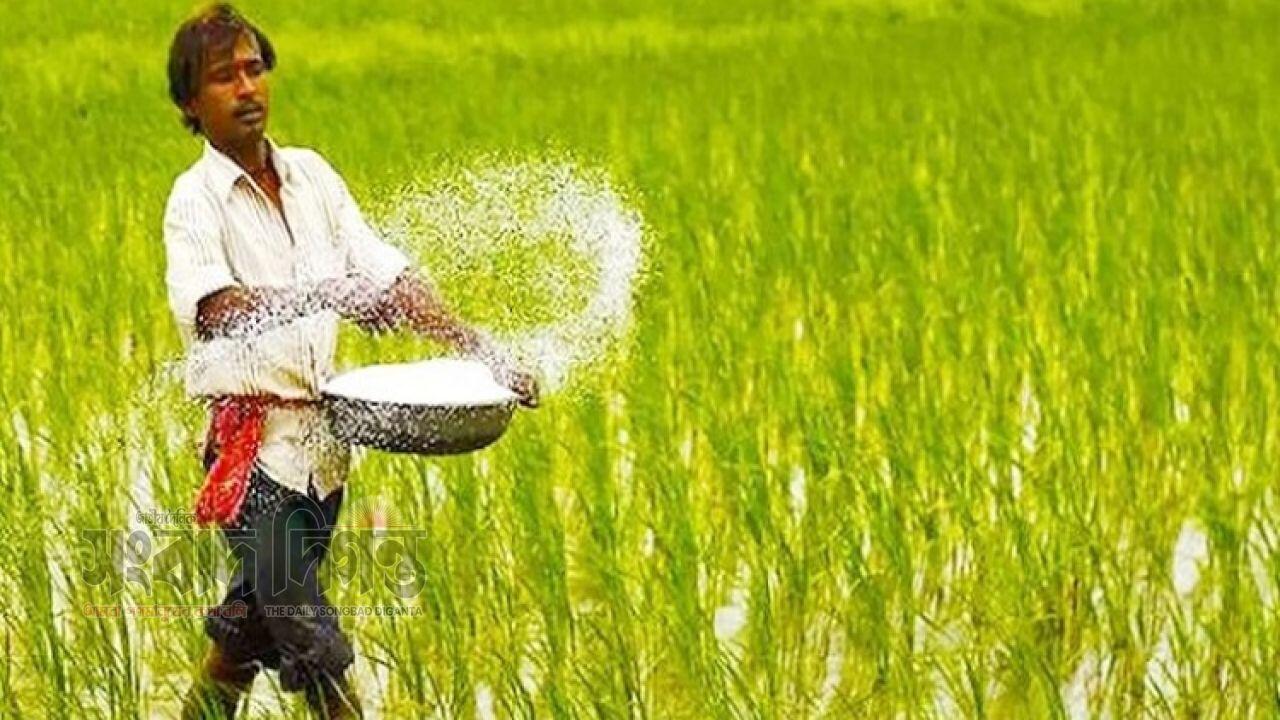 ৩৮১ কোটি টাকায় ৭০ হাজার টন ইউরিয়া সার ক্রয় করবে সরকার