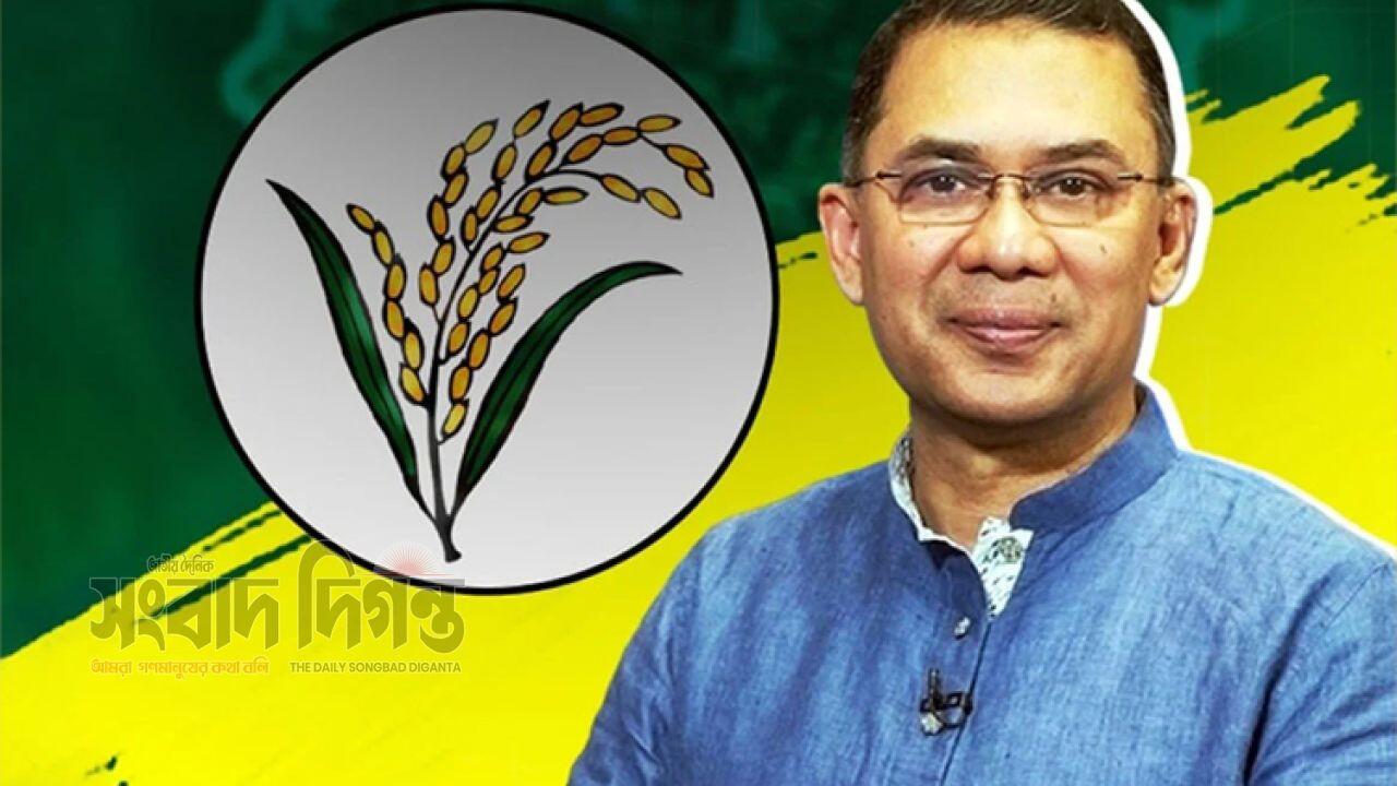 বগুড়া-৬ আসনে প্রার্থী হিসেবে বৈধ তারেক রহমানের মনোনয়ন