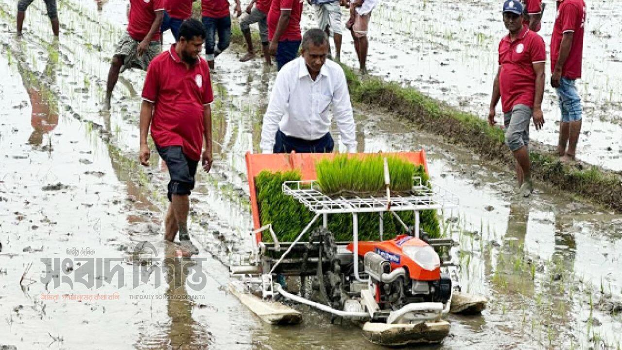 ‘মেইড ইন বাংলাদেশ’ কৃষিযন্ত্রে কৃষি বিপ্লব: কম খরচে বেশি উৎপাদন