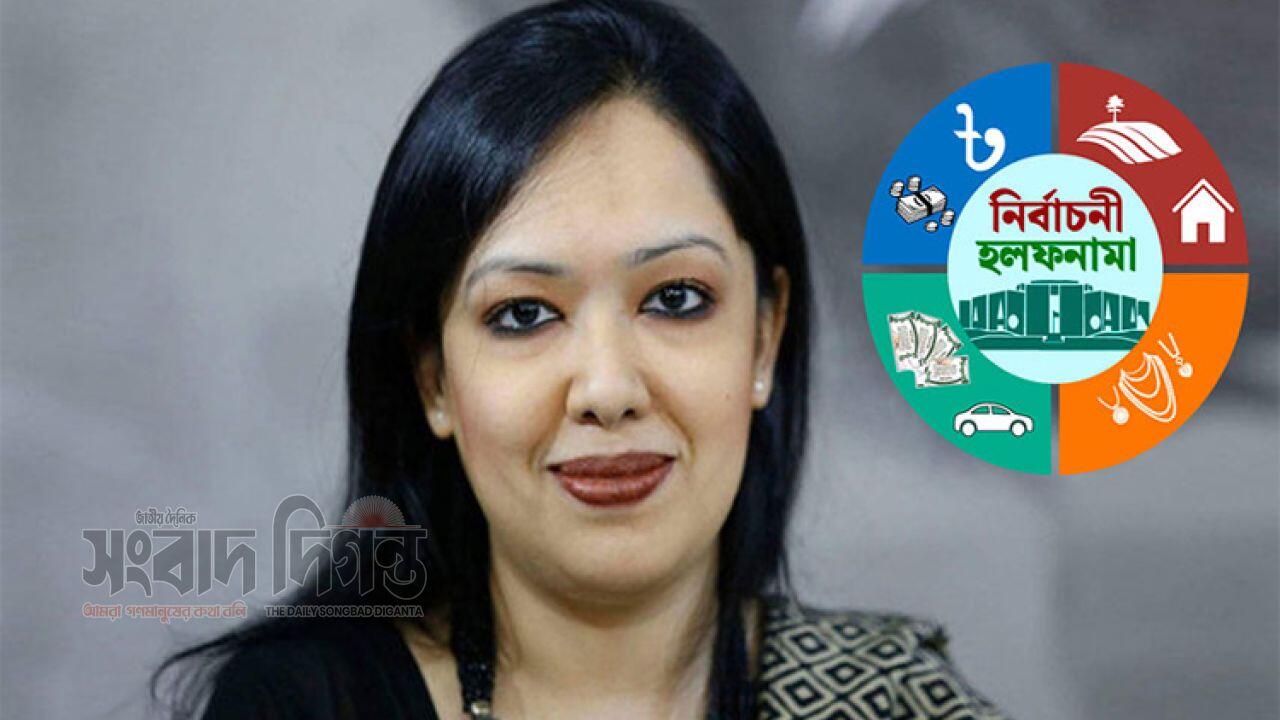 রুমিন ফারহানার হলফনামায় যেসব তথ্য উঠে এসেছে