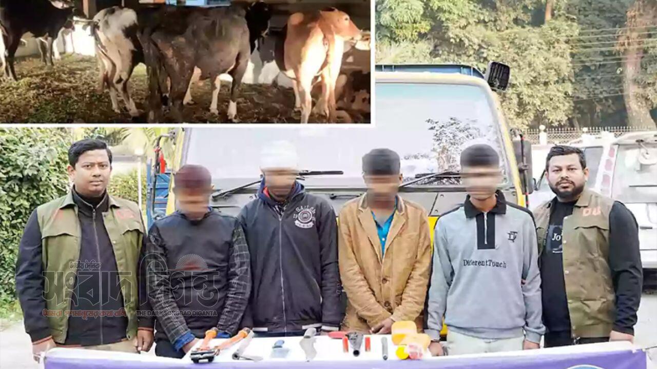 কুমিল্লায় অস্ত্র ও লুট করা গরুসহ ডাকাত দল গ্রেফতার