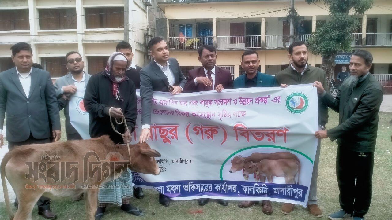 মাদারীপুরের কালকিনিতে অসহায় ৬০ জন জেলের মাঝে ৬০ বকনা গরু বিতরণ 