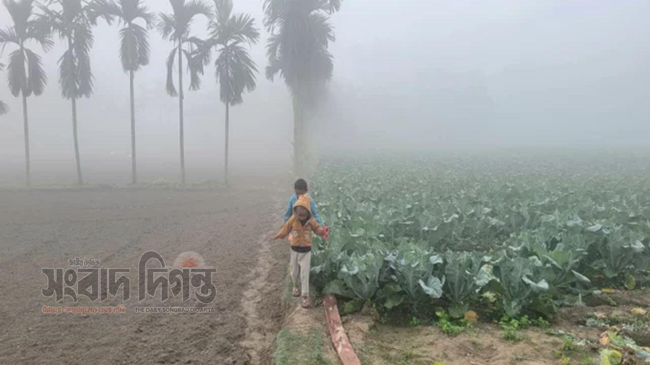 কুয়াশা ও শৈত্যপ্রবাহের সতর্কতা পাঁচ দিনের পূর্বাভাস প্রকাশ