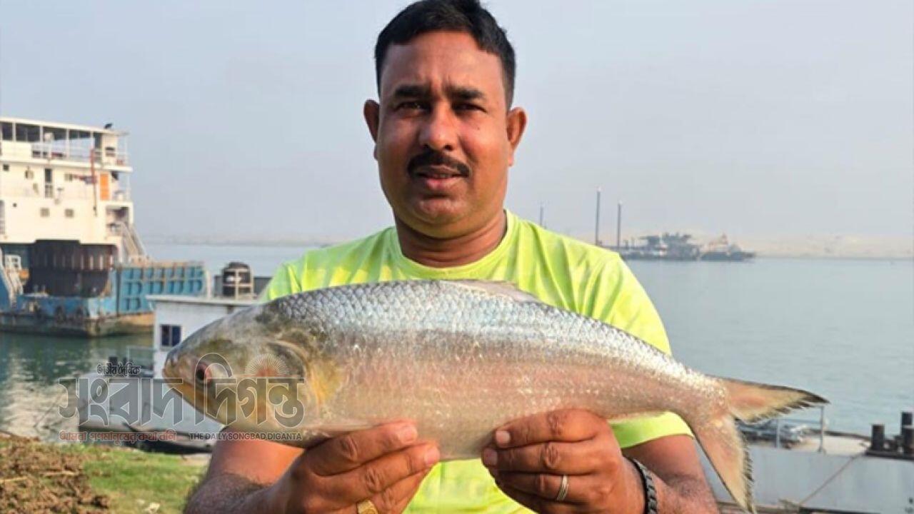 আকাশছোঁয়া ইলিশের দাম দেড় কেজিতে সাড়ে ৫ হাজার টাকা