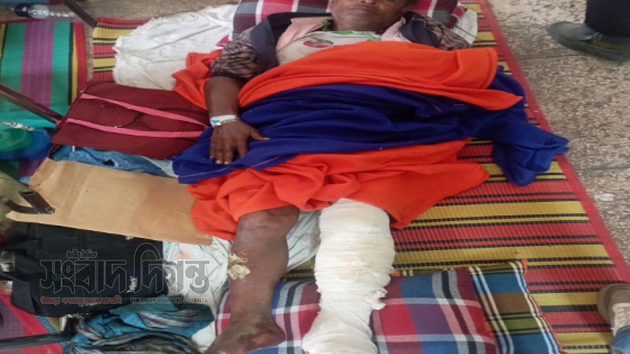 নেত্রকোনার মোহনগঞ্জে ওয়ার্ড বিএনপির সভাপতিকে পিটিয়ে জখম 
