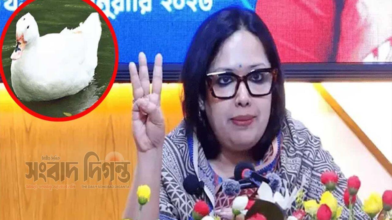 নির্বাচনে হাঁস প্রতীক পেলেন রুমিন ফারহানা