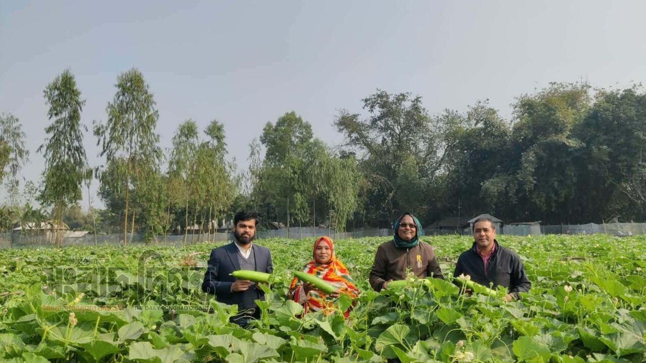 খানসামায় সুপার গ্রিন লাউয়ের বাম্পার ফলন সফলতায় দৃষ্টান্ত স্থাপন করলেন আমিনুল