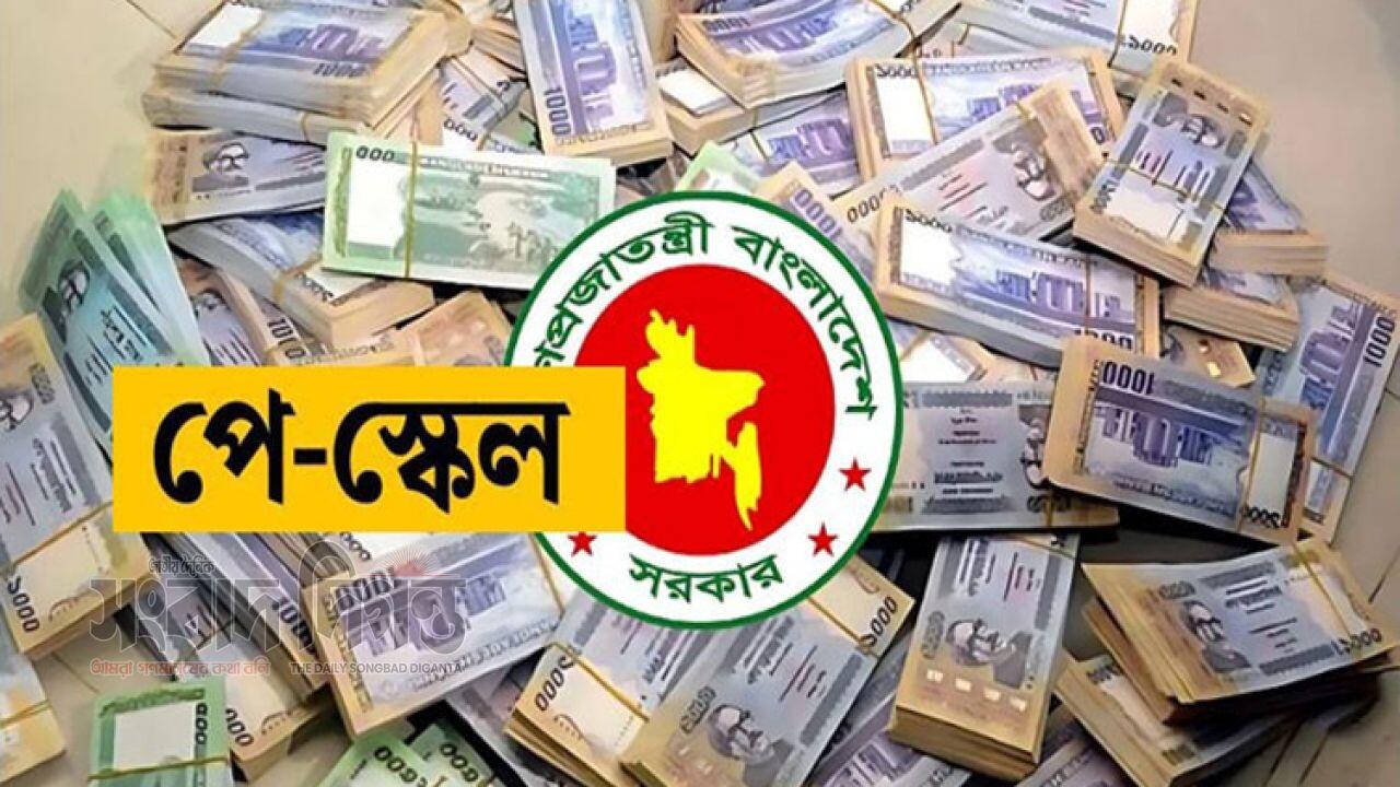 পে স্কেল বাস্তবায়নের দাবিতে গঠিত হলো নতুন সংগঠন