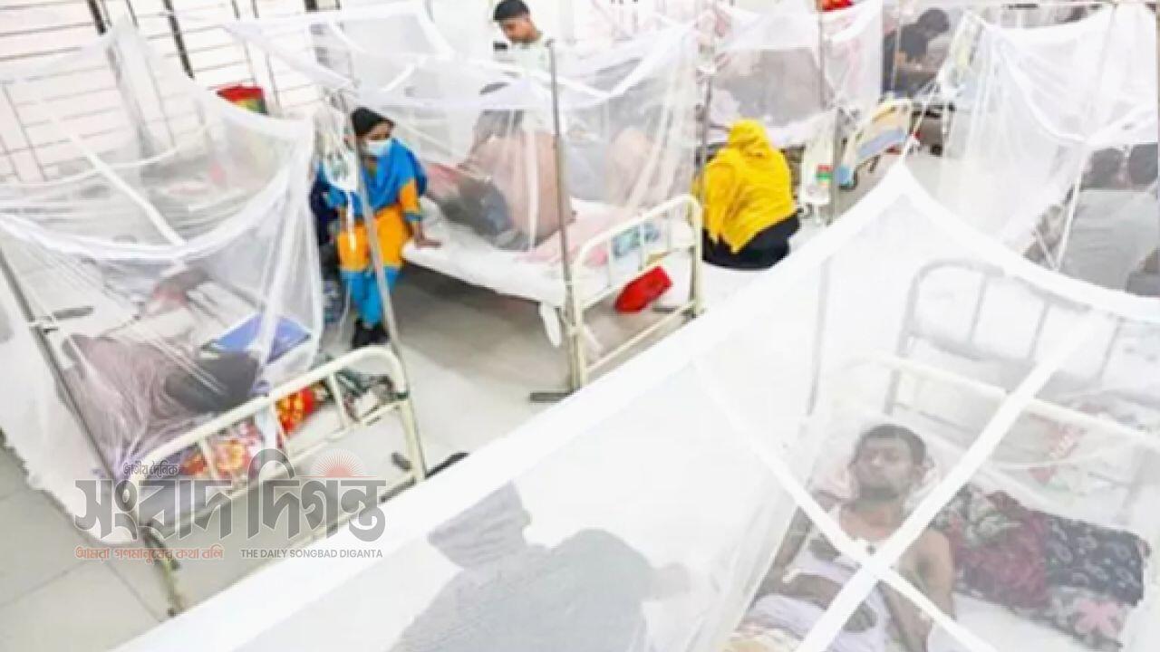 ৩১ জানুয়ারি পর্যন্ত ১,০৮১ জন ডেঙ্গু রোগী হাসপাতালে ভর্তি