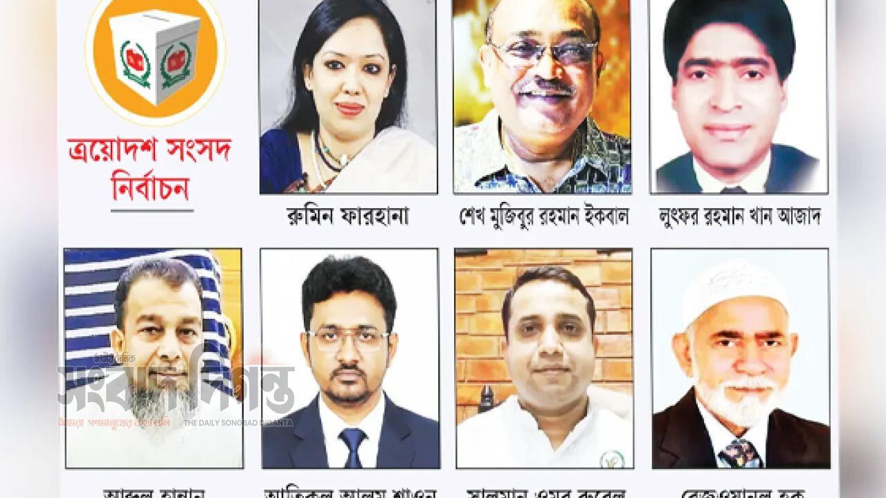 বিএনপি মনোনয়ন না পেলেও সাত স্বতন্ত্র প্রার্থী নির্বাচিত