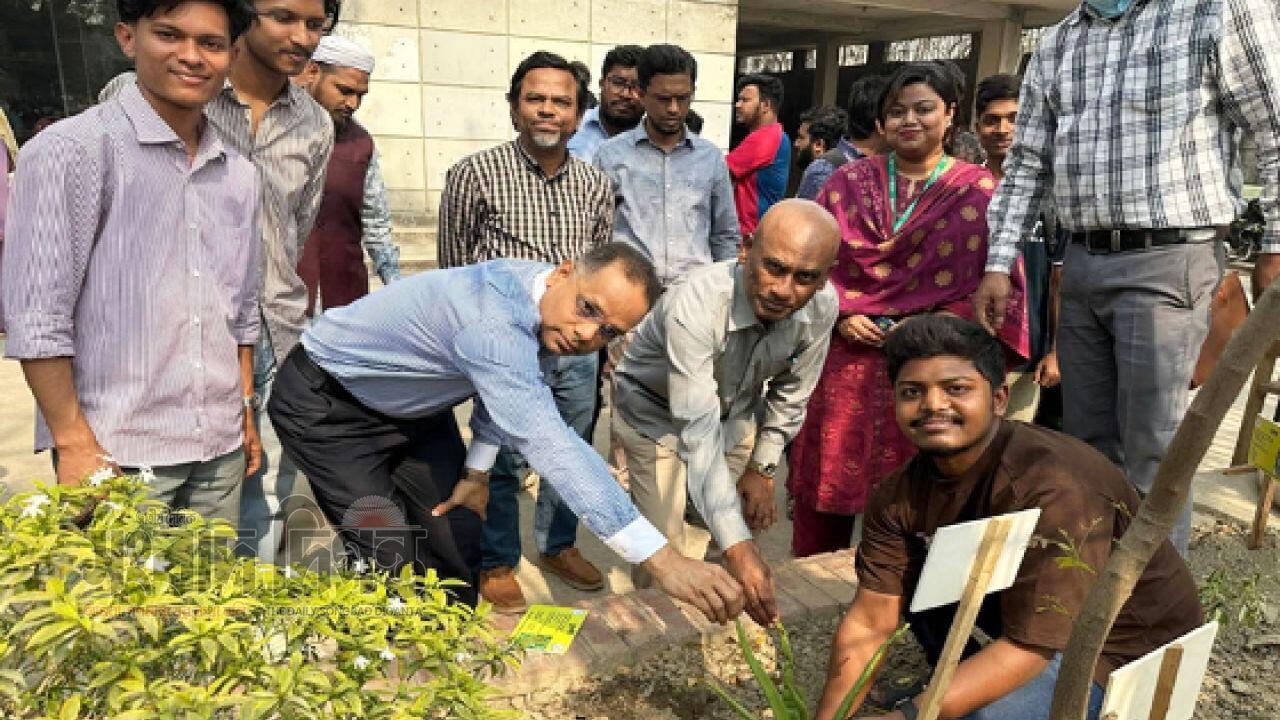 সবুজ ক্যাম্পাস গড়তে নর্দান ইউনিভার্সিটিতে বৃক্ষরোপণ কর্মসূচি