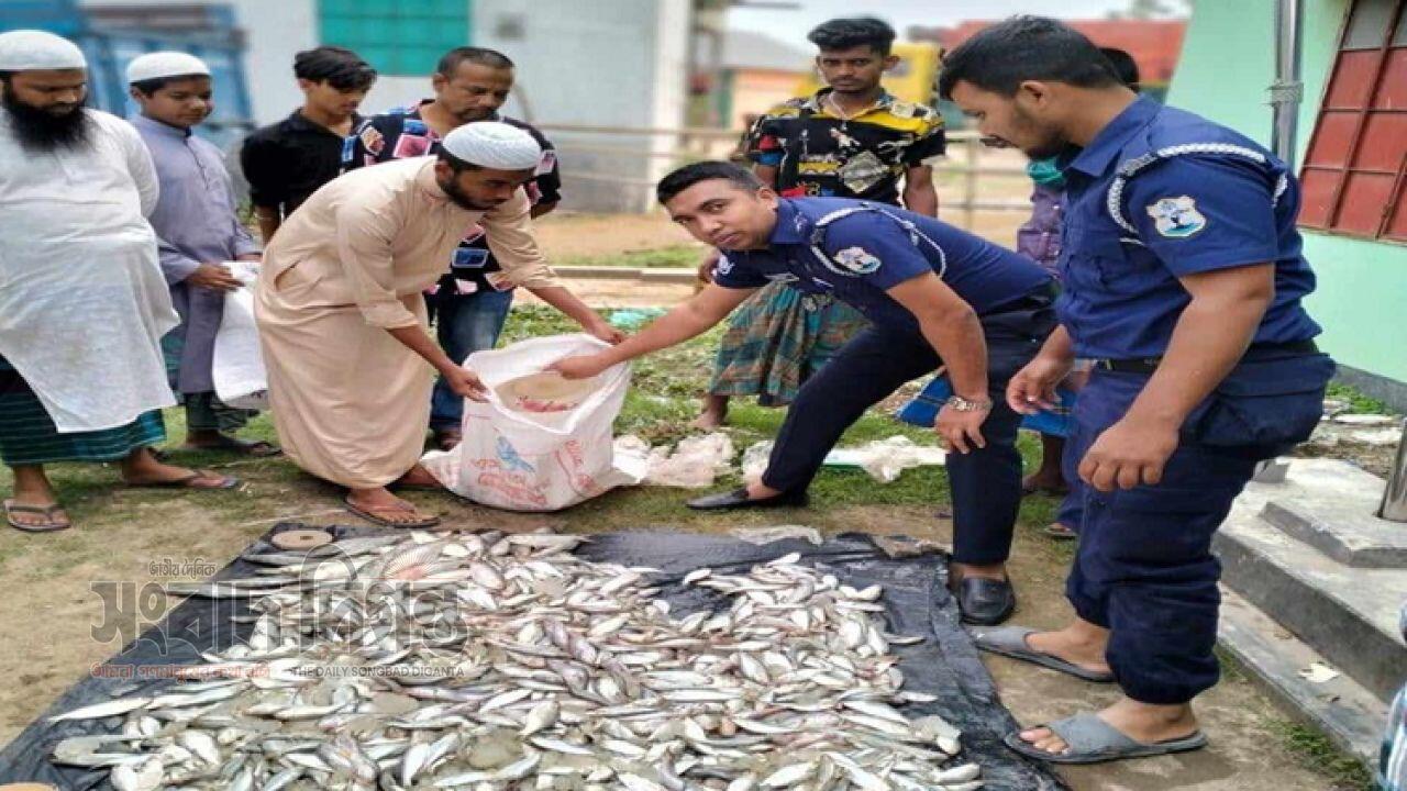 মুন্সীগঞ্জে নৌ পুলিশের অভিযানে বিপুল পরিমাণ জাটকা উদ্ধার