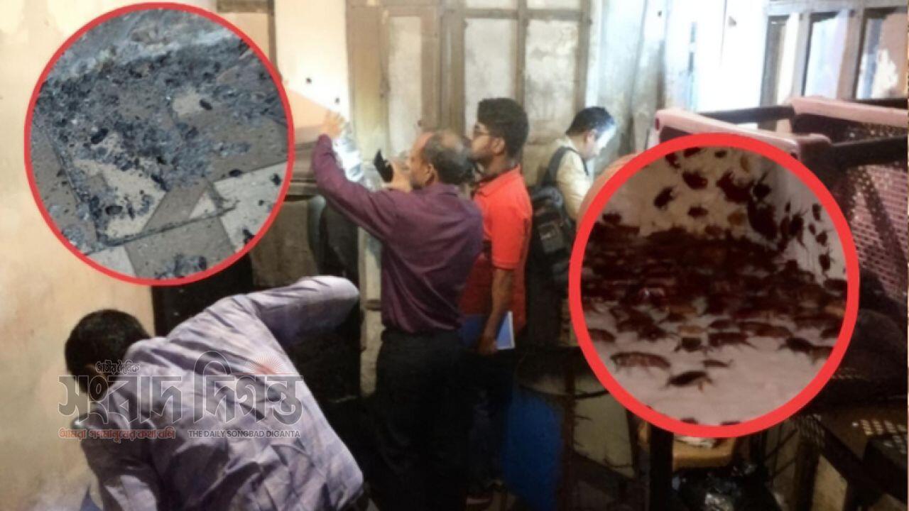 তেলাপোকা-ইঁদুরের রাজত্বে রান্না হচ্ছিল খাবার জিইসি মোড়ে ভোক্তার অভিযানে সোয়া ২ লাখ জরিমানা
