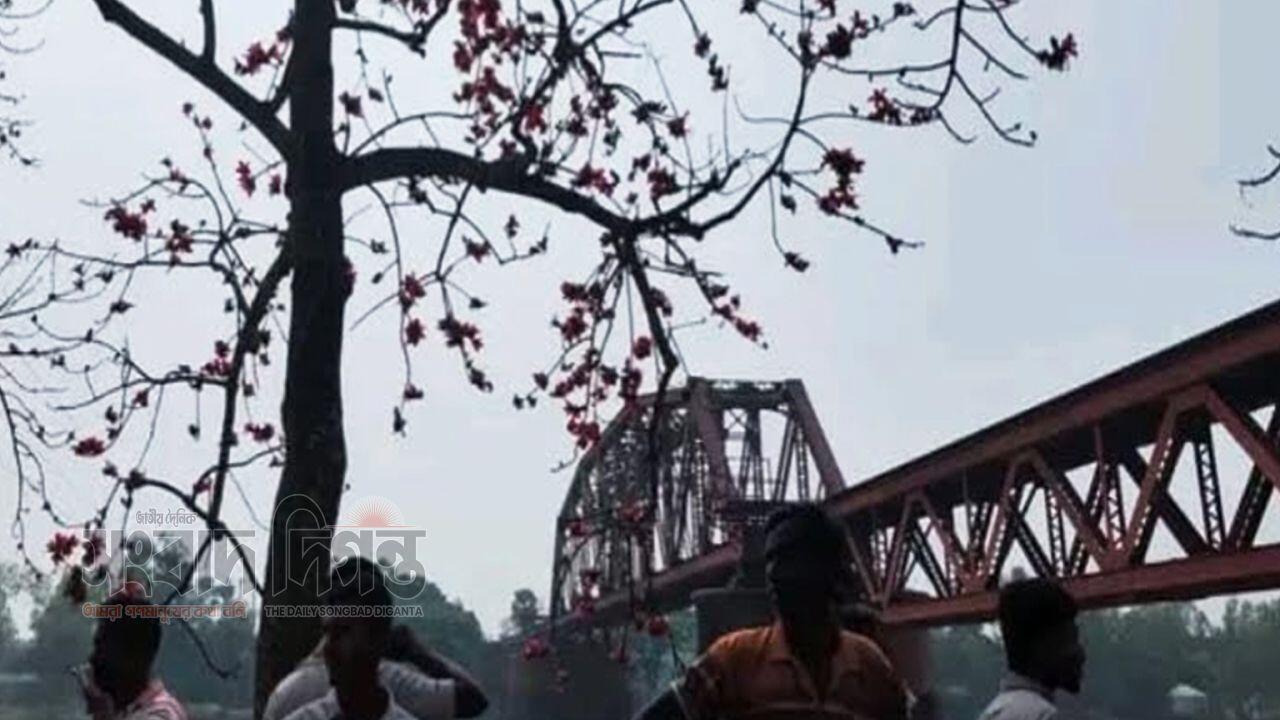 সেলফি তুলতে কান্ডে দুই কলেজ ছাত্র নিহত