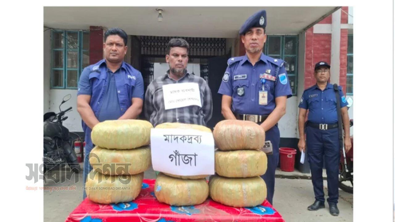 শিবালয়ে ২০ কেজি গাঁজাসহ এক ব্যক্তি আটক জড়িত চাকরিচ্যুত পুলিশ 