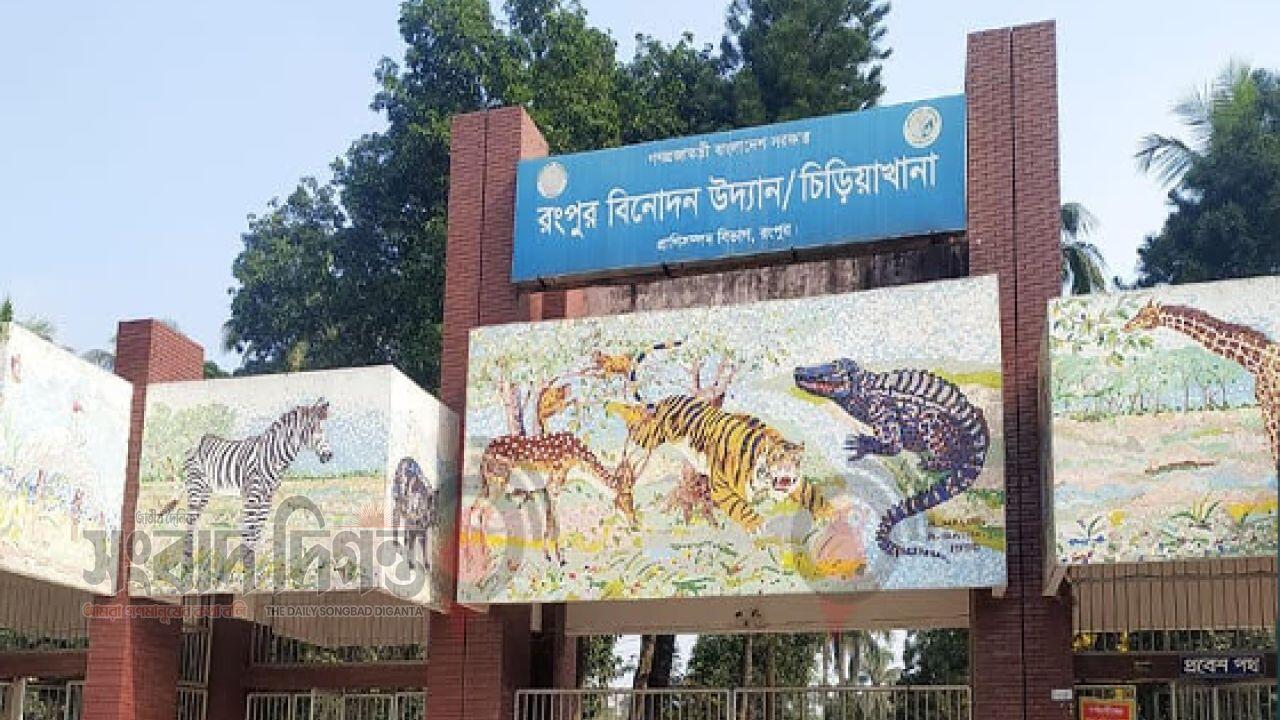 ঈদের পঞ্চম দিনেও রংপুরে বিনোদন কেন্দ্রে জনস্রোত, উৎসবে মুখর নগরী