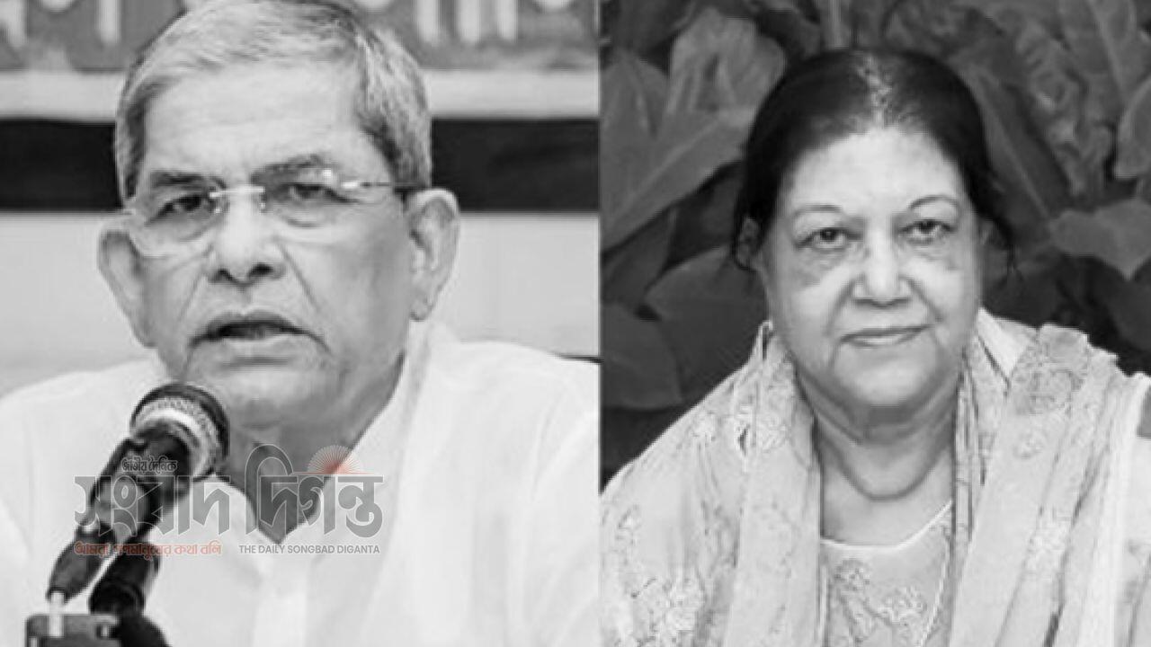 ড. দিলারা হাফিজের মৃত্যুতে বিএনপি মহাসচিবের শোক