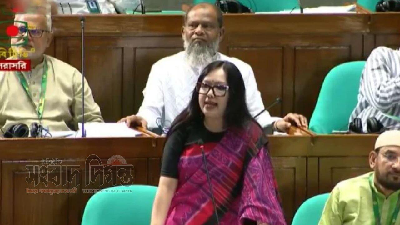 দলীয় মনোনয়ন না দেওয়ায় বিএনপিকে ধন্যবাদ দিলেন সংসদ সদস্য রুমিন ফারহানা 