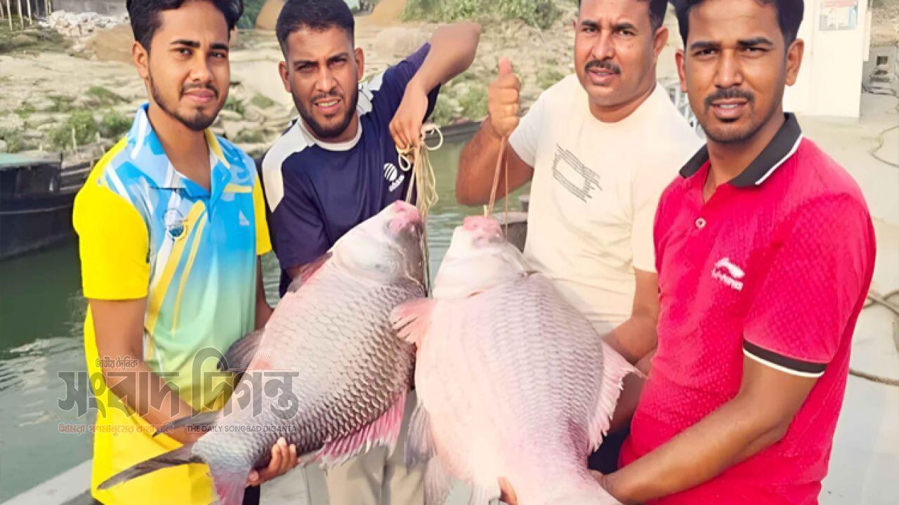 ৯৬ হাজার টাকায় বিক্রি হলো দুই কাতল 