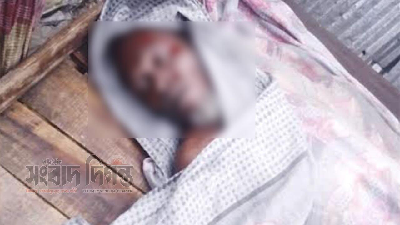 স্কুলে যাওয়ার পথে ভয়াবহ বজ্রপাতে , প্রাণ গেল ভ্যানচালকের