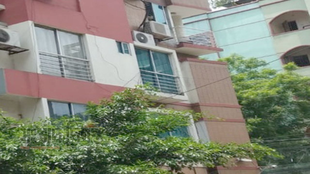 উত্তরায় হোটেল গ্রান্ট প্লাজা’র আড়ালে নারী সিন্ডিকেটের অভিযোগ