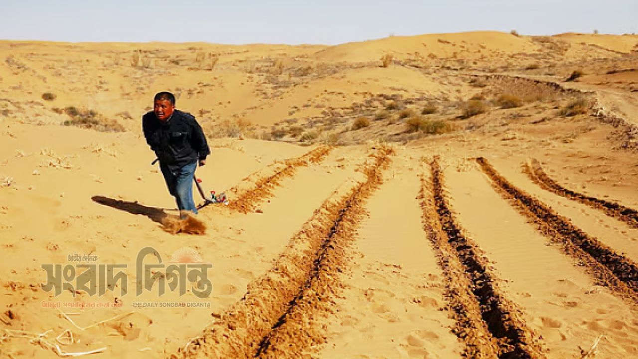 মরুভূমি বদলে দেবে অণুজীব প্রযুক্তি