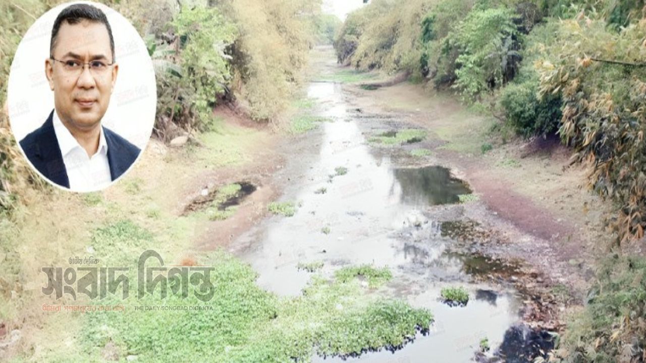 উলাশী-যদুনাথপুর খাল পুনঃখনন উদ্বোধনে যশোর সফরে যাচ্ছেন তারেক রহমান 