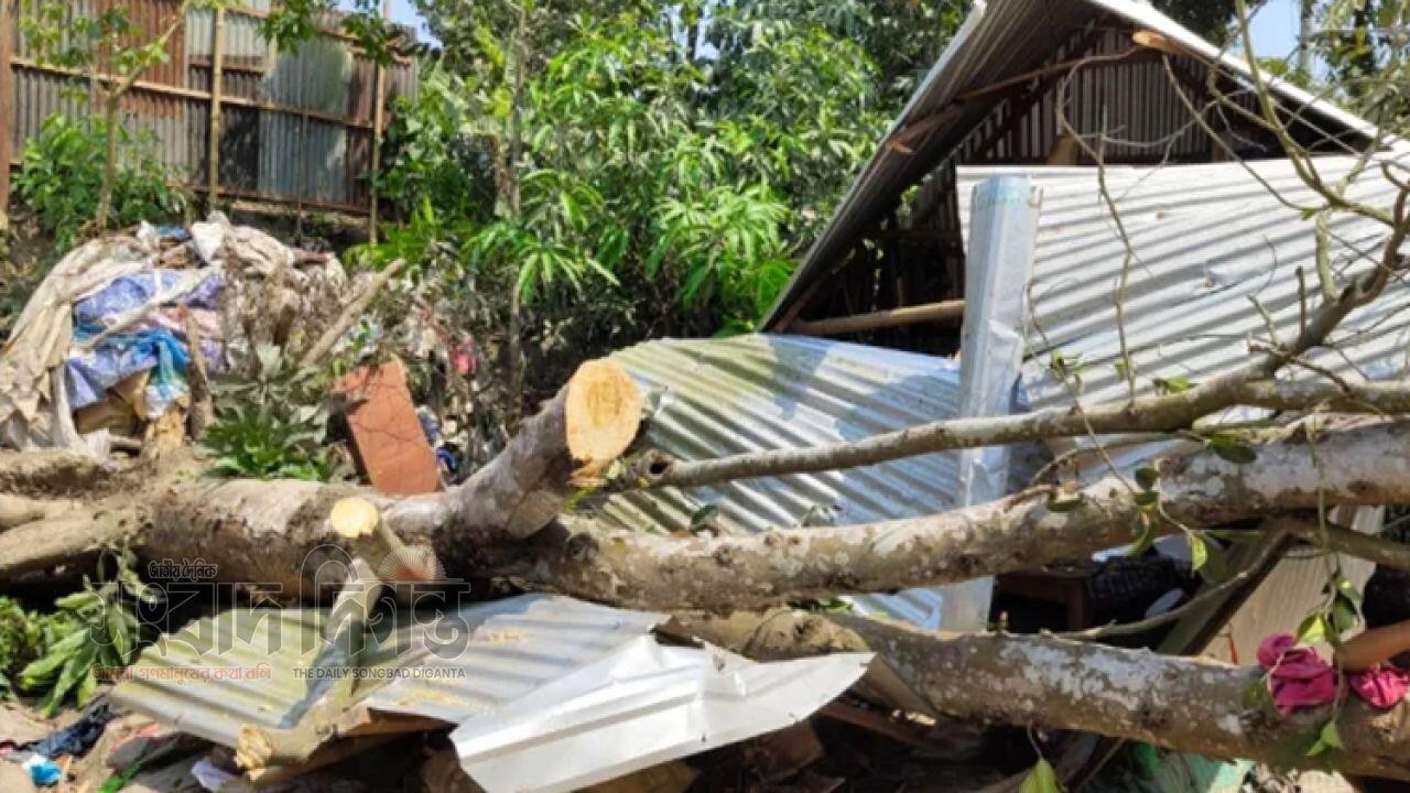 ঝড়ের রাতে ভয়াবহ দুর্ঘটনায় ঘরের ওপর গাছ পড়ে এক পরিবারের তিনজনের মৃত্যু