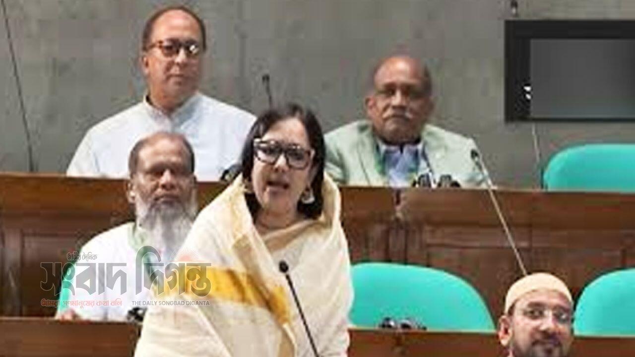 যুক্তরাষ্ট্রের সঙ্গে বাণিজ্য চুক্তি সংসদে তোলার দাবি রুমিন ফারহানার