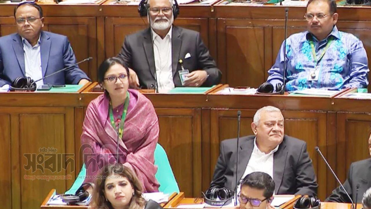 ‘টক শো’ অনেক করেছি, এখন ‘ওয়ার্ক শো’ দরকার: সমাজকল্যাণ প্রতিমন্ত্রী