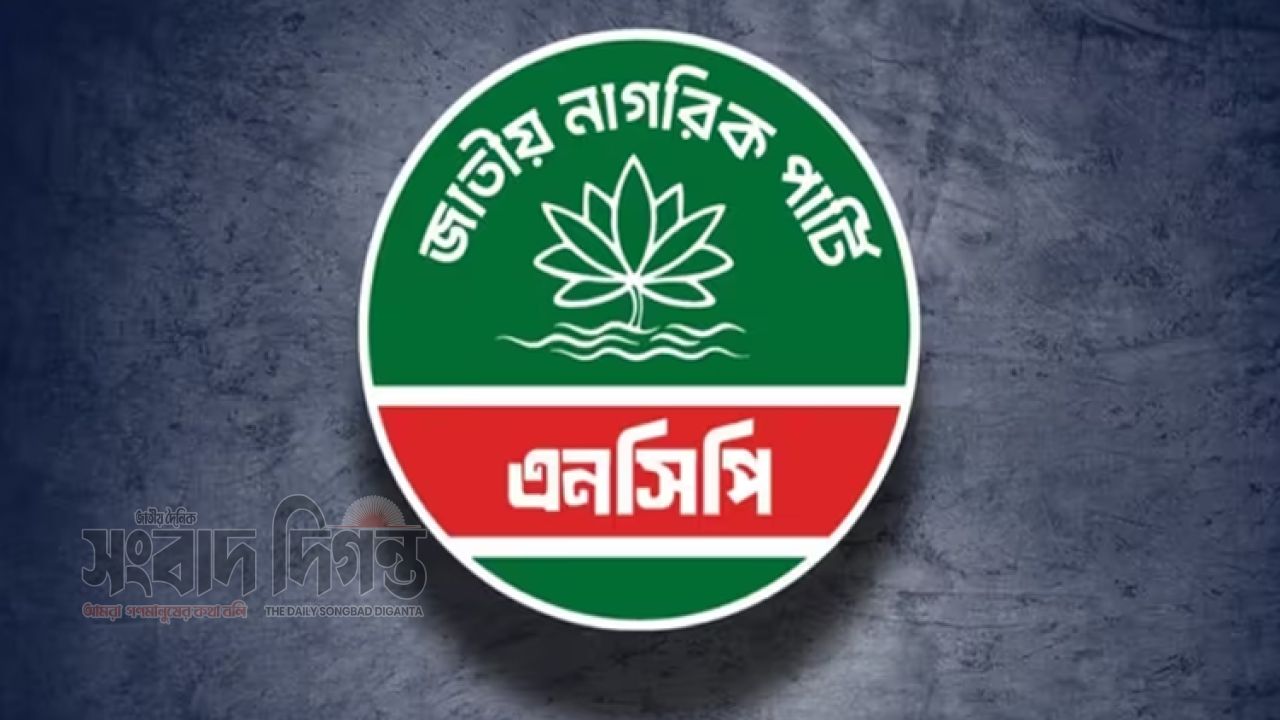 দলীয় জাতীয় কনভেনশনের আগে এনসিপির সংবাদ সম্মেলন আজ