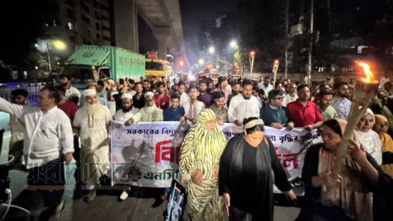 বিদ্যুৎ-জ্বালানির দাম বৃদ্ধির প্রতিবাদে রাজধানীতে এনসিপির বিক্ষোভ মিছিল 