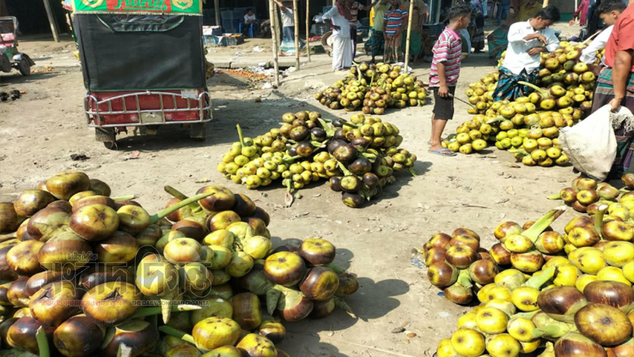 কিশোরগঞ্জে তালের শাঁসের কদর  ভেজালমুক্ত প্রাকৃতিক ফলের প্রতি ঝুঁকছেন মানুষ 