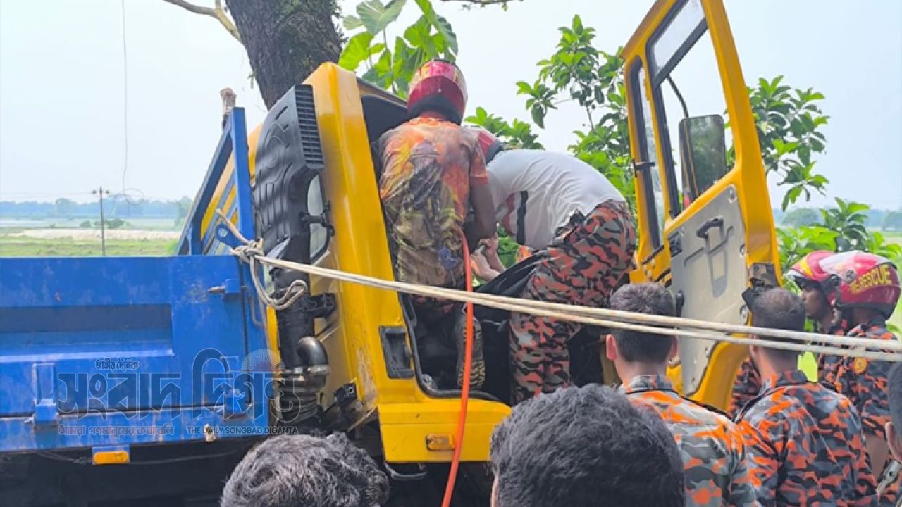 দিরাইয়ে নিয়ন্ত্রণ হারিয়ে গাছে ধাক্কা ট্রাক, নিহত ইটভাটার ম্যানেজার