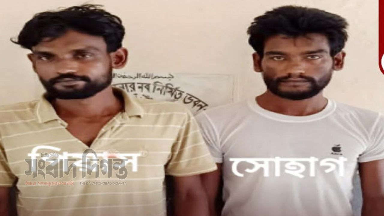 ব্রাহ্মণবাড়িয়ায় ২২ মামলার আসামিসহ দুই মাদক কারবারি গ্রেপ্তার 
