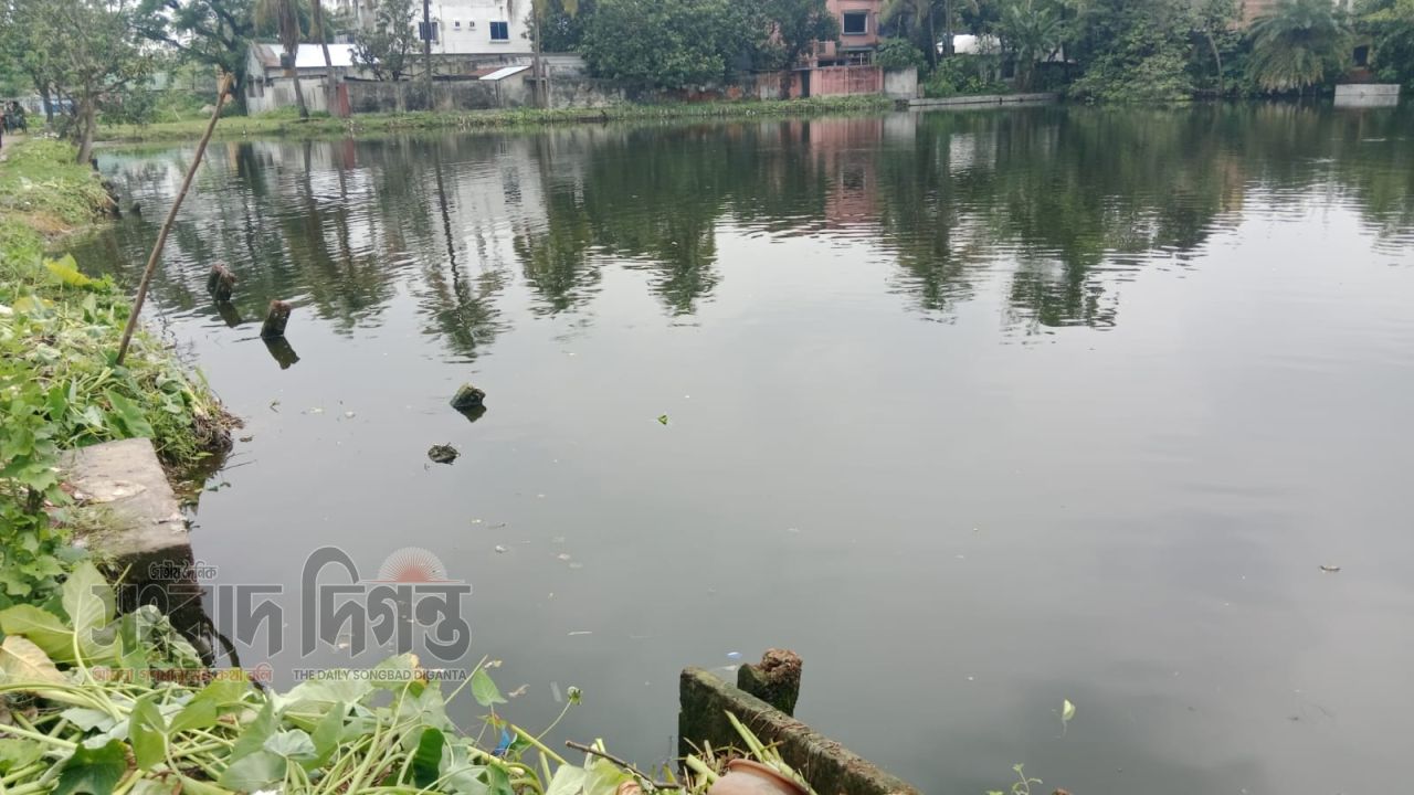 পাঁচবিবিতে মসজিদের পুকুরে চামড়ার বর্জ্য ফেলে পানি দূষণ, মাছের ব্যাপক ক্ষতি 