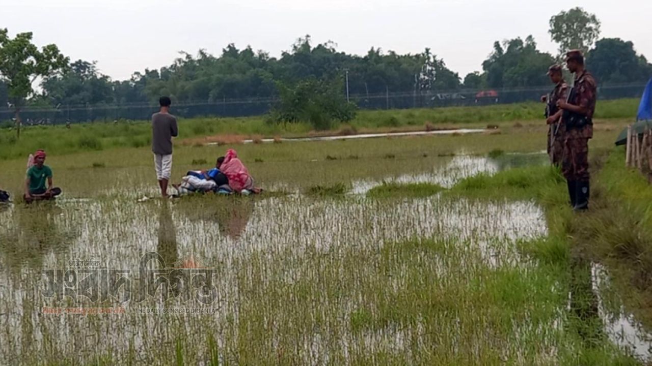 ৫৯ ঘণ্টা শূন্যরেখায় ১০ জন: রোদ-বৃষ্টি আর অনিশ্চয়তায় সীমান্তে মানবিক সংকট