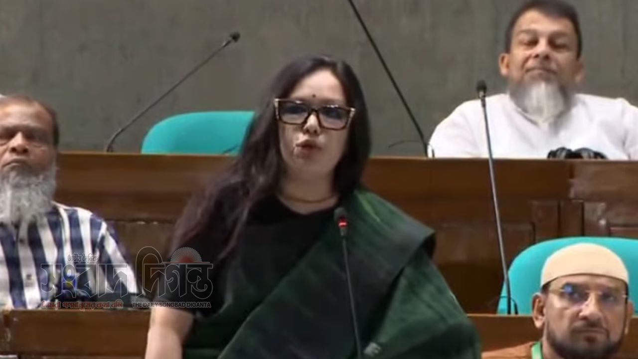 দেশ কতটা নাজুক, পরিসংখ্যানই প্রমাণ’ রুমিন ফারহানা
