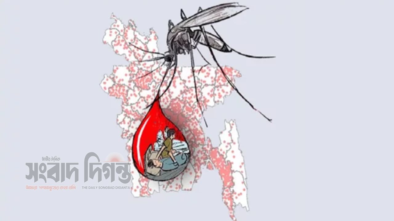 ডেঙ্গুর নতুন ঢেউ: একদিনে ৭৩ রোগী হাসপাতালে, বাড়ছে উদ্বেগ