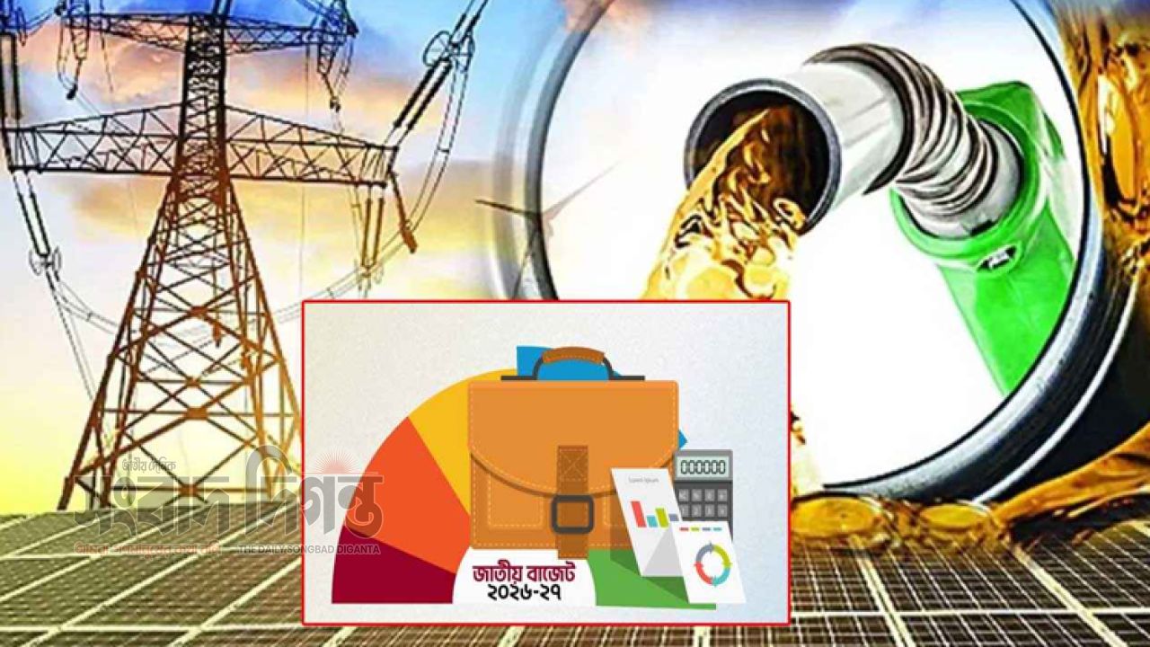 বিদ্যুৎ জ্বালানি খাতে ১৭ হাজার ৩৪৫ কোটি টাকার বাজেট