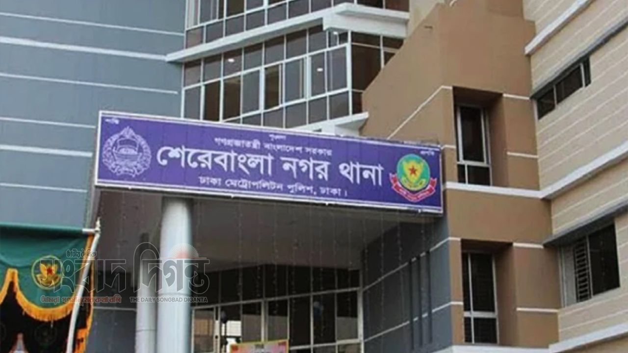 শেরেবাংলা নগরে ছিনতাইকারীর ছুরিকাঘাতে আহত ২ পুলিশ সদস্য, অভিযুক্তরা গ্রেপ্তার 