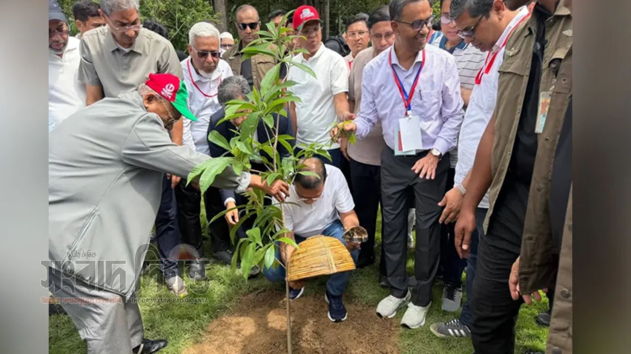 কক্সবাজারে ২৫ কোটি বৃক্ষরোপণ কর্মসূচির উদ্বোধন করলেন প্রধানমন্ত্রী তারেক রহমান