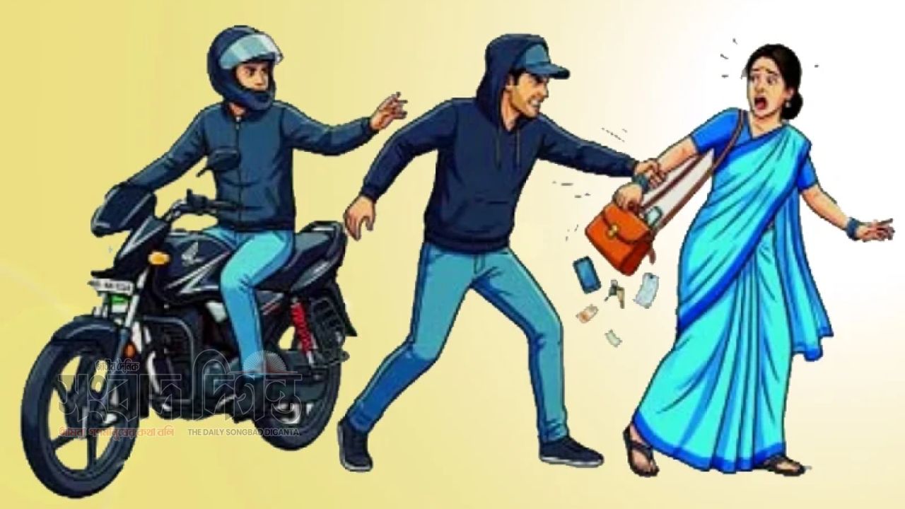 দিনে-রাতে বেপরোয়া ছিনতাইকারী চক্র, উদ্বিগ্ন নগরবাসী 